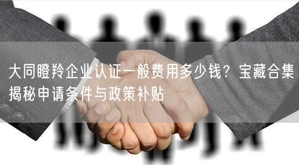 大同瞪羚企业认证一般费用多少钱,宝藏合集申请条件与政策补贴