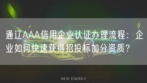 通辽AAA信用企业认证办理流程,企业如何快速获得招投标加分资质,
