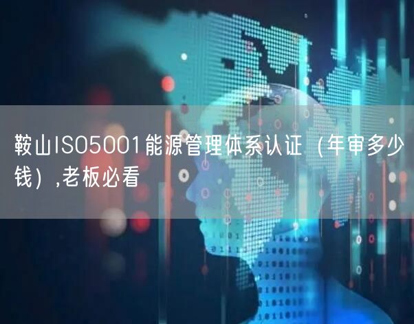鞍山ISO5001能源管理体系认证（年审多少钱）,老板必看