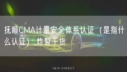 抚顺CMA计量安全体系认证（是指什么认证）,炸裂干货