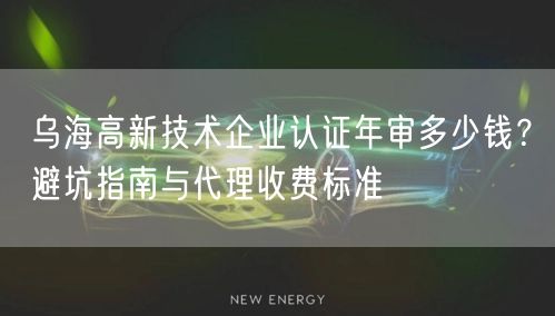 乌海高新技术企业认证年审多少钱,避坑指南与代理收费标准
