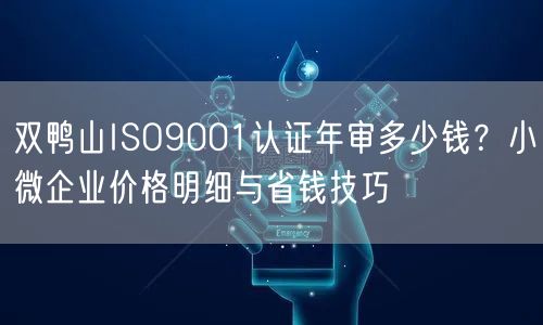 双鸭山ISO9001认证年审多少钱,小微企业价格明细与省钱技巧
