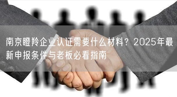 南京瞪羚企业认证需要什么材料,2026年最新申报条件与老板必看指南