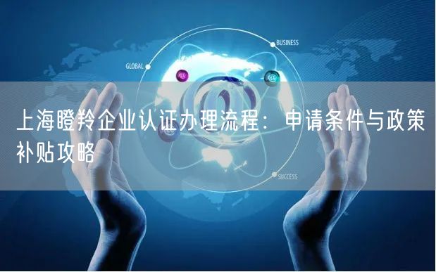 上海瞪羚企业认证办理流程,申请条件与政策补贴攻略