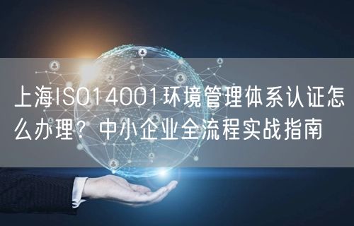 上海ISO14001环境管理体系认证怎么办理,中小企业全流程实战指南