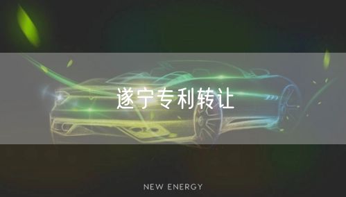 遂宁专利转让