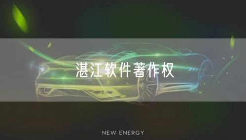 湛江软件著作权