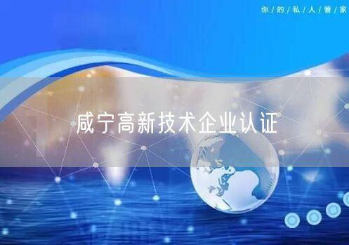 咸宁高新技术企业认证