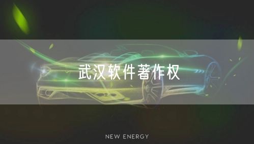 武汉软件著作权